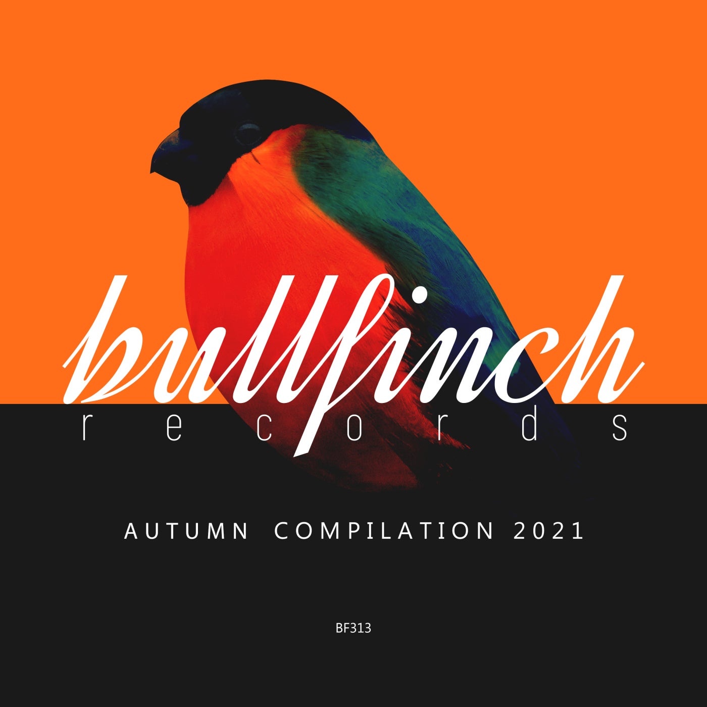 VA - Bullfinch Autumn 2021 Compilation [BF313]
